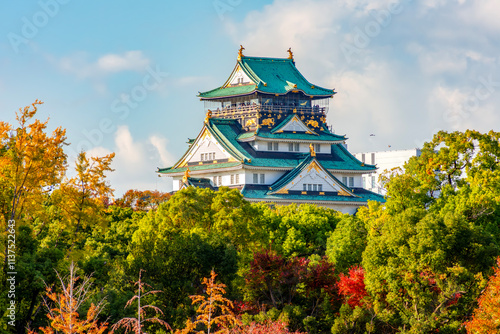 Wall Mural Osaka Castle in autumn, Japan