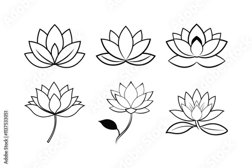 waterlily line art vector illustration