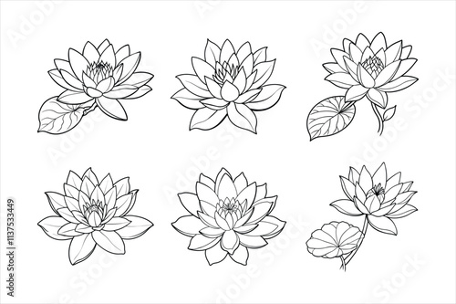 waterlily line art vector illustration
