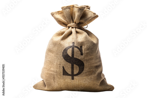 bag of money