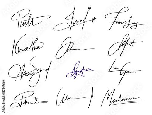 Handwritten Signature Line. Abstract Ink Pen Autograph