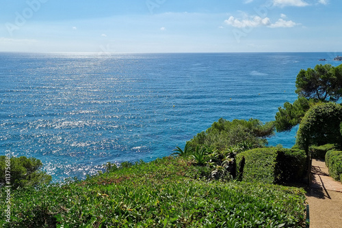 Serene Coastal Landscape with Lush Greenery and Blue Ocean Views for Nature Posters or Travel Guides photo