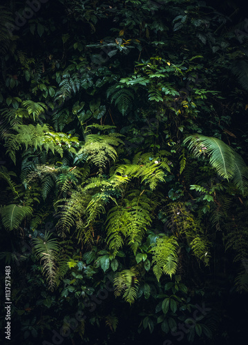 Billede på lærred Naturaleza en Bali