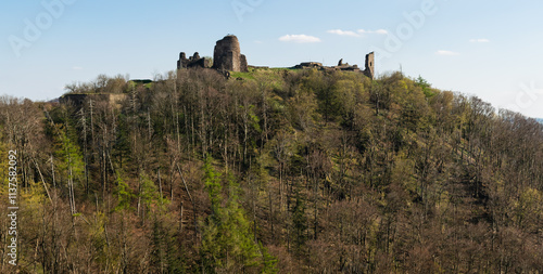 The ruins of the Lichnice castle near Třemošnice in the Chrudim district in the Pardubice region. The remains of the castle are protected as cultural. photo