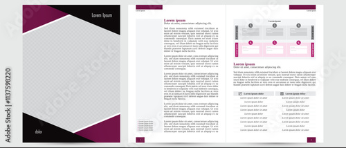 book cover and page layout template. blank empty editable business: document brochure article magazine booklet template with text frames and space for picture and photo