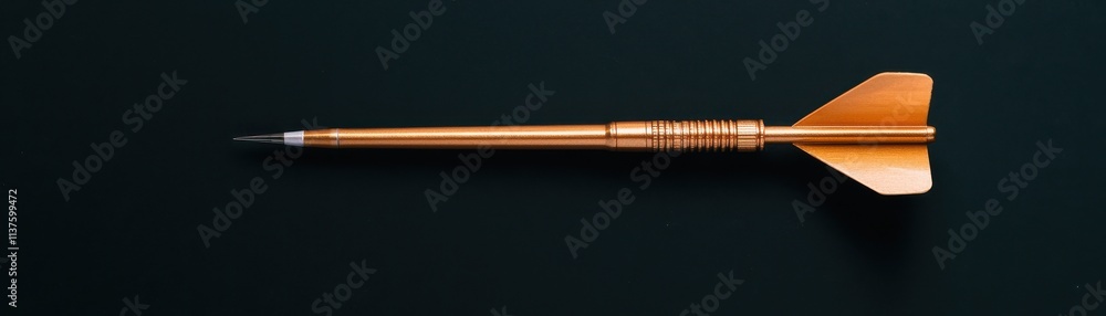 Fototapeta premium A sleek, golden dart lies horizontally on a dark surface, showcasing its streamlined design and sharp tip.