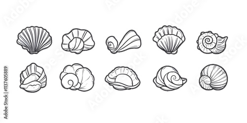 Modern outline icon featuring oyster mollusks, pearl corrals, and snail shells doodled in simple linear style, white or transparent background