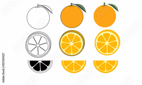 set of orange illustrations in three styles: outline, solid color, and sliced segments, featuring whole oranges, circular slices, and half-slices with leaves on a white background