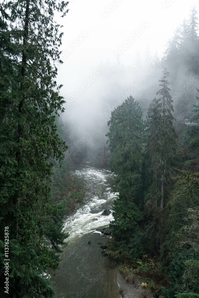 Capilano Suspension Bridge Park in North Vancouver, British Columbia, Canada, on a moody, rainy autumn day in november Capilano Suspension Bridge Park in North Vancouver, British Columbia, Canada, on a moody, rainy autumn day in november