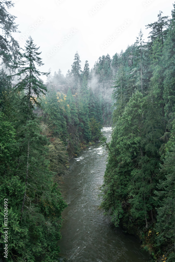 Capilano Suspension Bridge Park in North Vancouver, British Columbia, Canada, on a moody, rainy autumn day in november Capilano Suspension Bridge Park in North Vancouver, British Columbia, Canada, on a moody, rainy autumn day in november