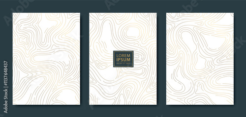 Vector set of abstract gold line wood texture, topography contour, organic nature texture covers, labels, invitations, posters. Wave art   