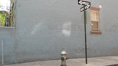 New York City oneway crossroad, Minetta street intersection one way arrow road sign. Manhattan Greenwich Village residential building architecture, NYC, United States. Blue brick wall, fire hydrant. photo