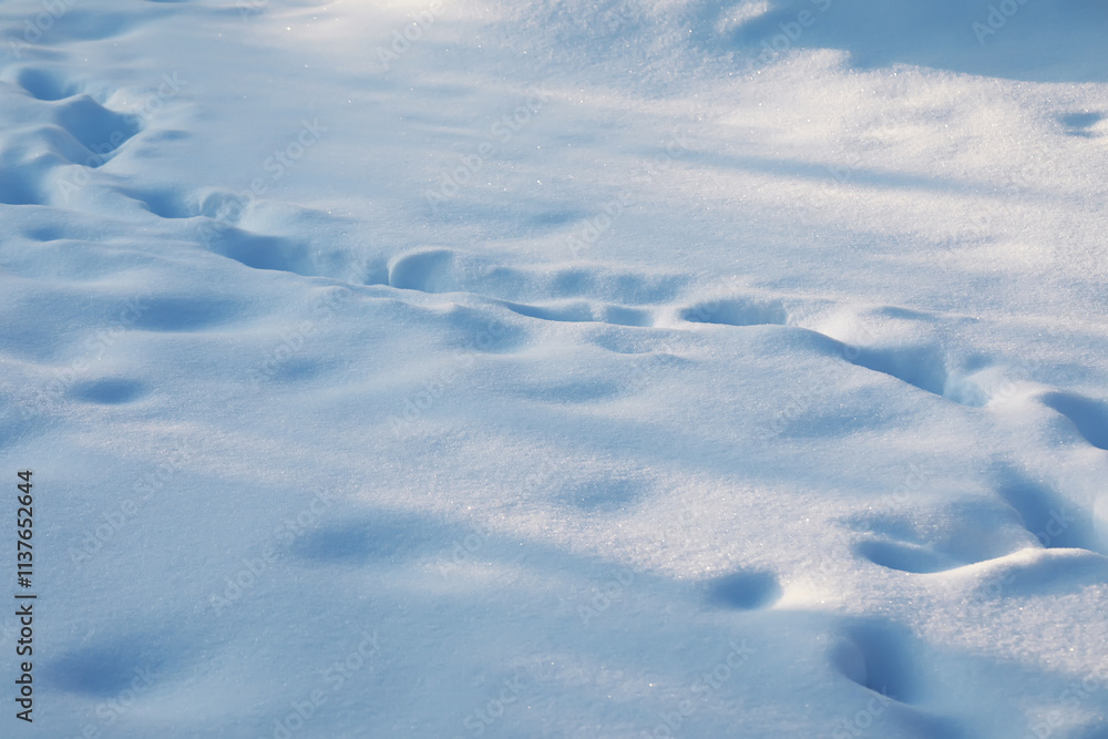 Fresh Pristine Snow with Soft Shadows Creating a Serene Winter Landscape Fresh Pristine Snow with Soft Shadows Creating a Serene Winter Landscape