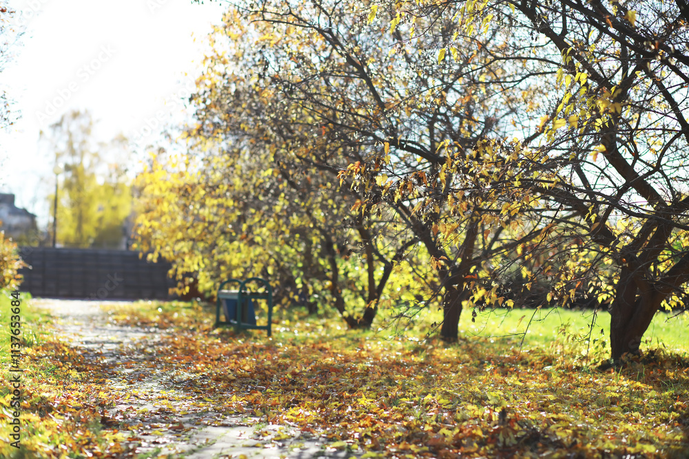 Fototapeta premium Sunny Autumn Day in the Park with Sunlit Path, Trees, and Fallen Leaves