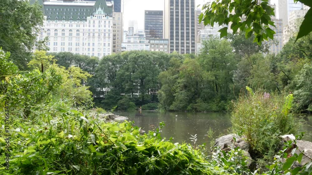 New York City Manhattan Midtown. Central park on 5th Fifth 5 avenue, USA. American landmark, urban public park in NYC, United States. Hotel building architecture from the pond, lake water, duck birds. New York City Manhattan Midtown. Central park on 5th Fifth 5 avenue, USA. American landmark, urban public park in NYC, United States. Hotel building architecture from the pond, lake water, duck birds.