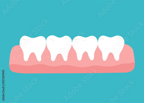 Healthy clean teeth in the gums. Vector hand-drawn illustration in flat style. Dental care, oral hygiene concept.