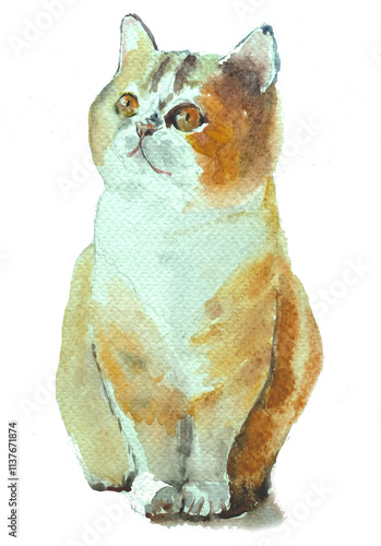 Cat watercolor1 photo