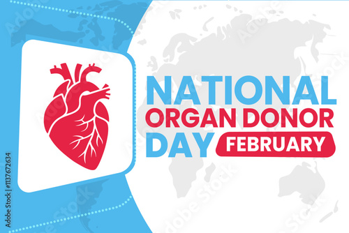 vector illustration for NATIONAL ORGAN DONOR DAY background
