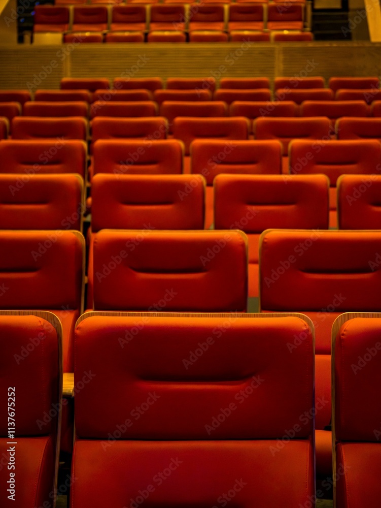 Obraz premium Empty Red Theater Seats