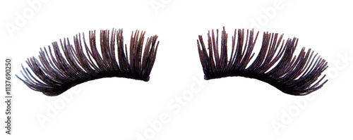 Black false eyelashes isolated on white or transparent background, clipping path



