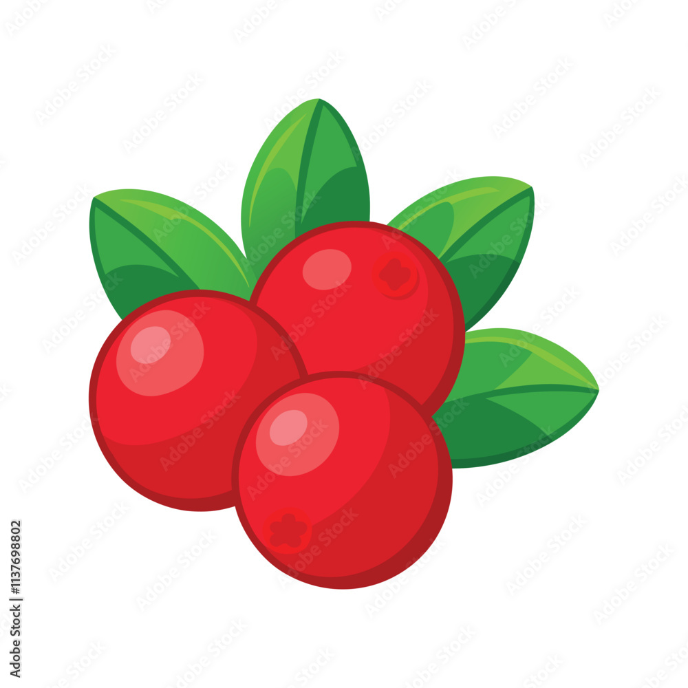 Obraz premium Red Cranberries with Green Leaves - Fresh Fruit Vector Illustration, Natural Food and Healthy Design