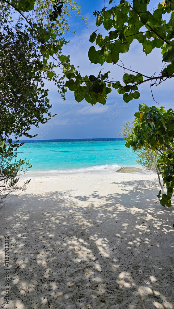 A beach with a blue ocean and a tree in the background in thulhagiri  island the maldives