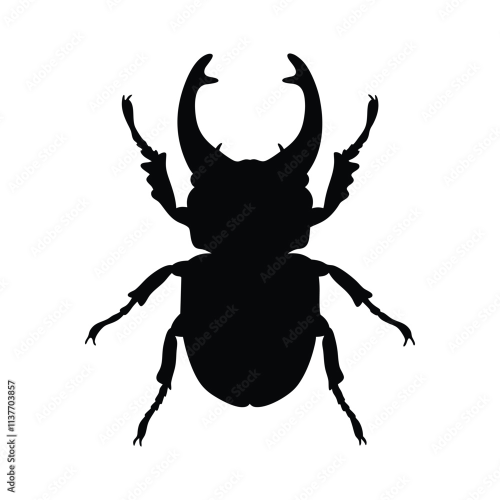 Fototapeta premium Beetle silhouette illustration isolated on white background