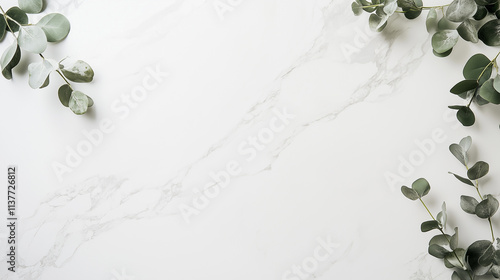  A white marble background with eucalyptus leaves in the corners, creating an elegant and minimalist design for text or product display