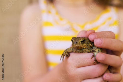 Close-up of a young Girl in a summer dress standing outdoors holding a frog, USA photo