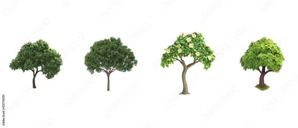Fototapeta premium set of tree with leaves, isometric view, white background