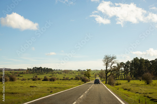 Serene Autumn Morning Drive Through Picturesque Countryside photo