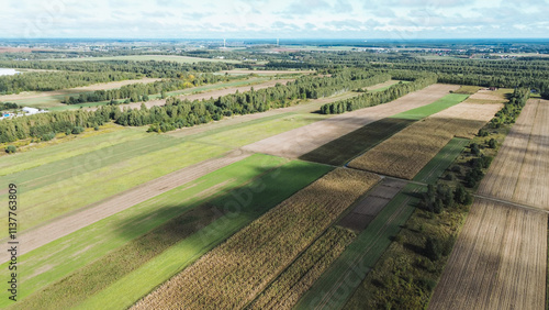 Beautiful rural autumn landscape from above photo