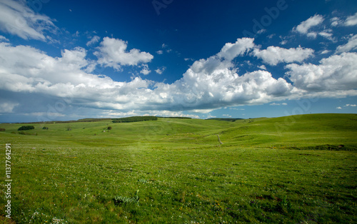 Paysage d'Aubrac : grands espaces photo