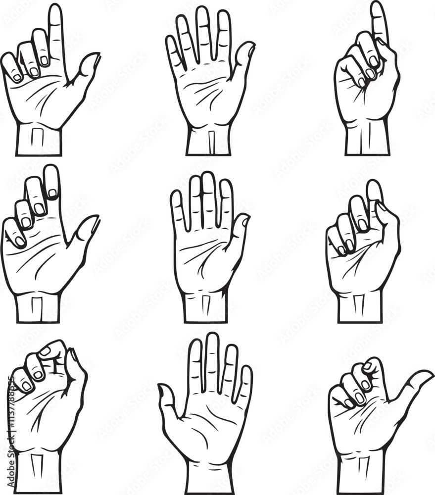 Obraz premium set of hand gestures vector icon illustration with white background