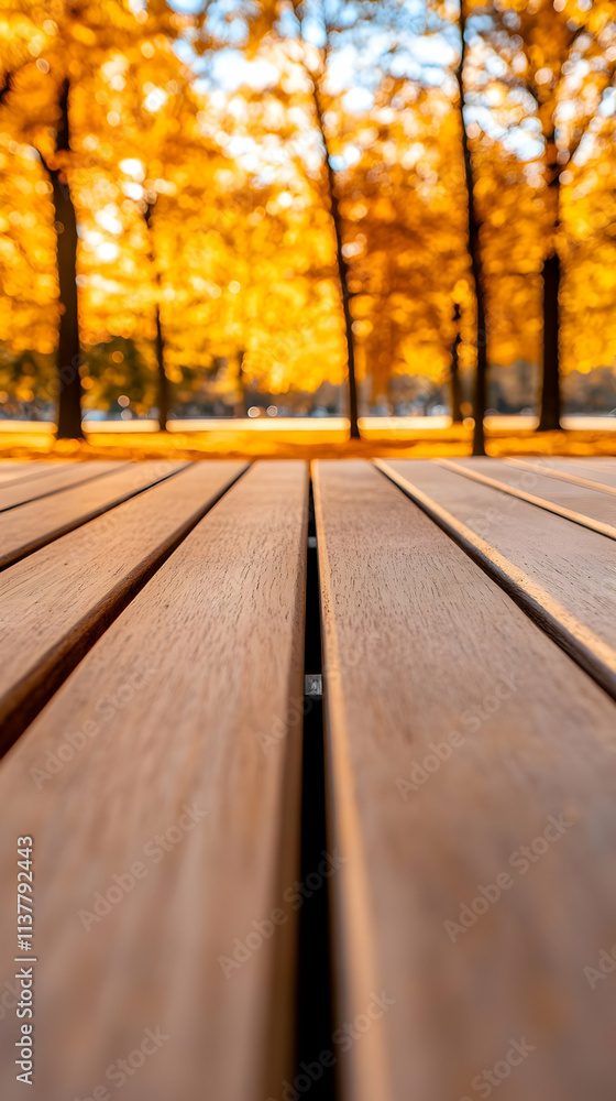 Autumn Park Bench Wood Texture Image Autumn Park Bench Wood Texture Image
