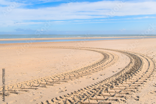 Tire tracks at the beach