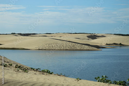 lagoa do portinho em parnaíba, piauí  photo