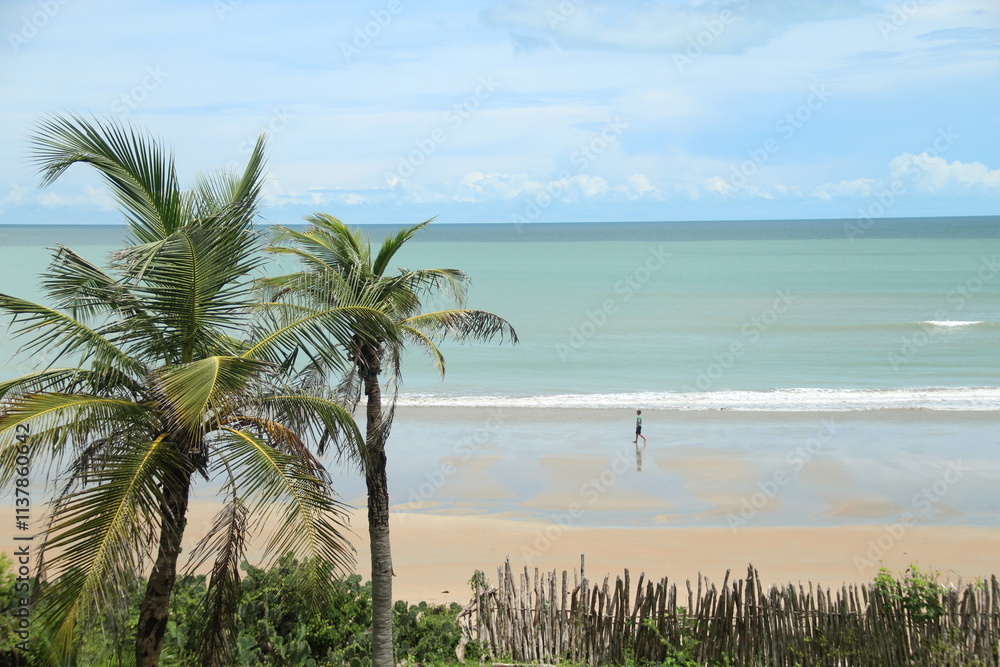 Fototapeta premium praia do coqueiro em luis correia, piauí
