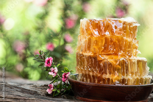 Honeycomb and manuka flowers on natural background.