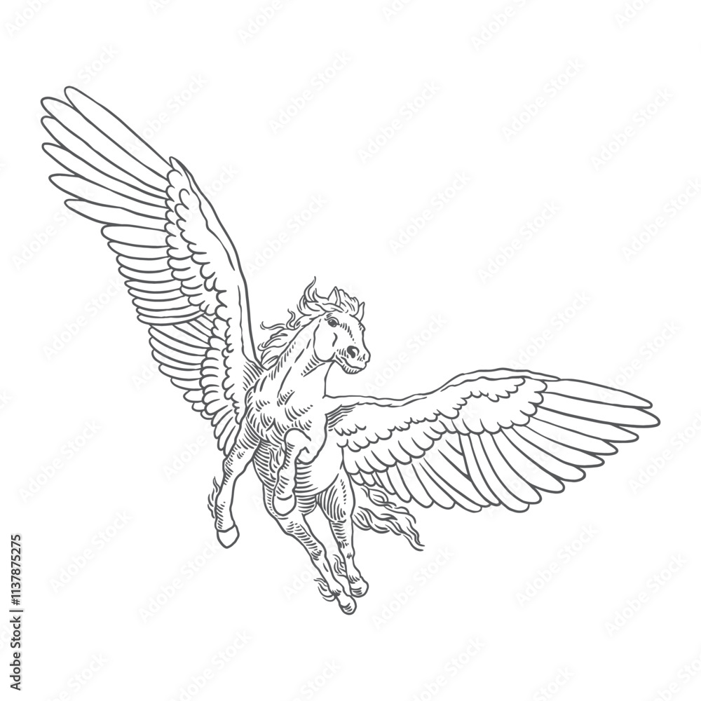 Obraz premium Hand drawn flying pegasus horse with feather wings