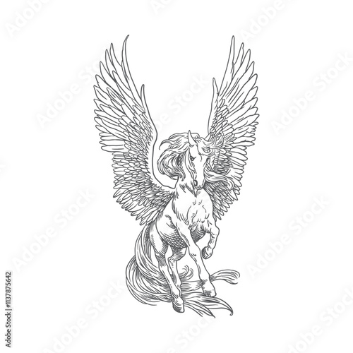 Hand drawn flying pegasus horse with feather wings