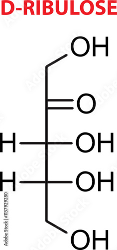 Vector Of D-Ribulose Chemical Structure