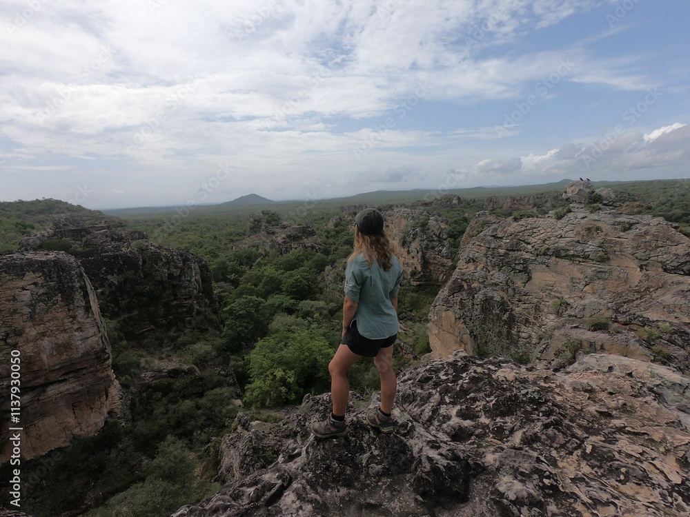 Fototapeta premium formações rochosas no parque nacional sete cidades, piauí