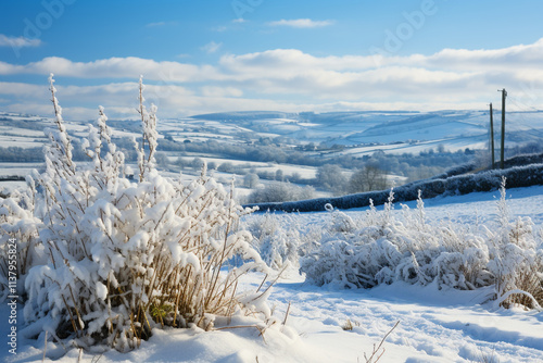 beautiful allure of snow clouds gracefully descending upon moors, enveloping landscape in a vibrant color stillness, and bestowing upon this windswept terrain wondrous transformative power of snow photo