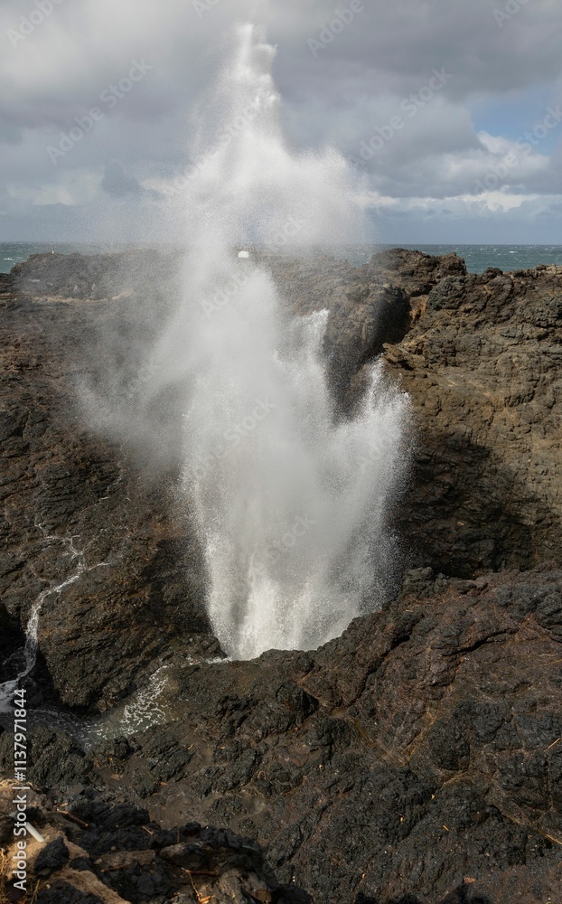 Dramatic ocean blowhole erupting water against a rocky coastline under a cloudy sky. Dramatic ocean blowhole erupting water against a rocky coastline under a cloudy sky.