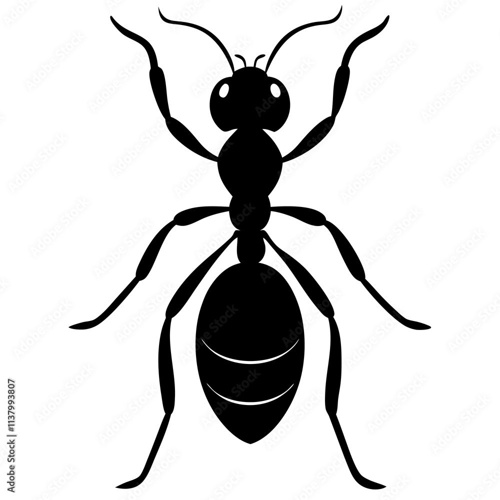 Ant Silhouette vector illustration Ant Silhouette vector illustration