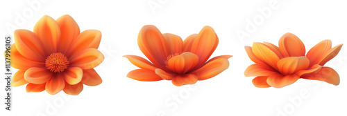 Orange flowers with varying shapes and sizes, vibrant petals, soft textures, artistic arrangement, isolated on transparent background, png
