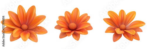 Orange flowers with vibrant petals and textured centers, showcasing three distinct arrangements, bright colors, and smooth surfaces., isolated on transparent background, png