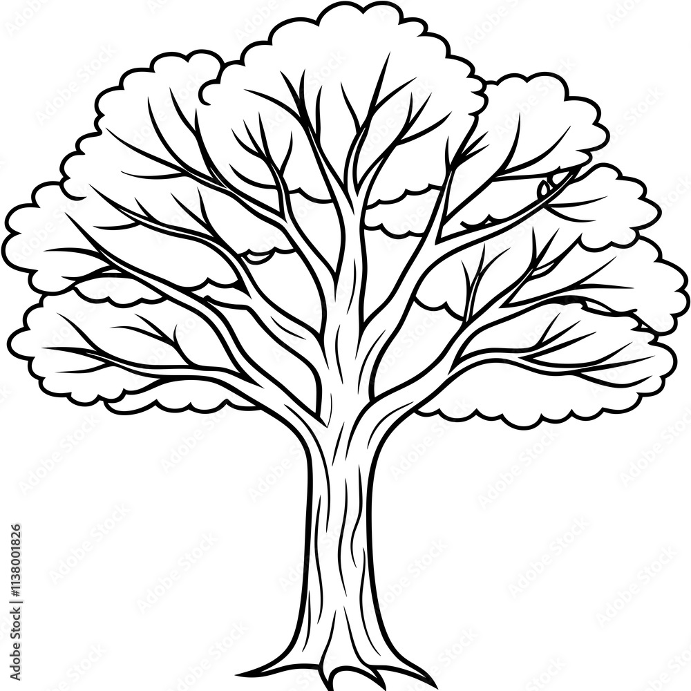 Obraz premium tree with leaves