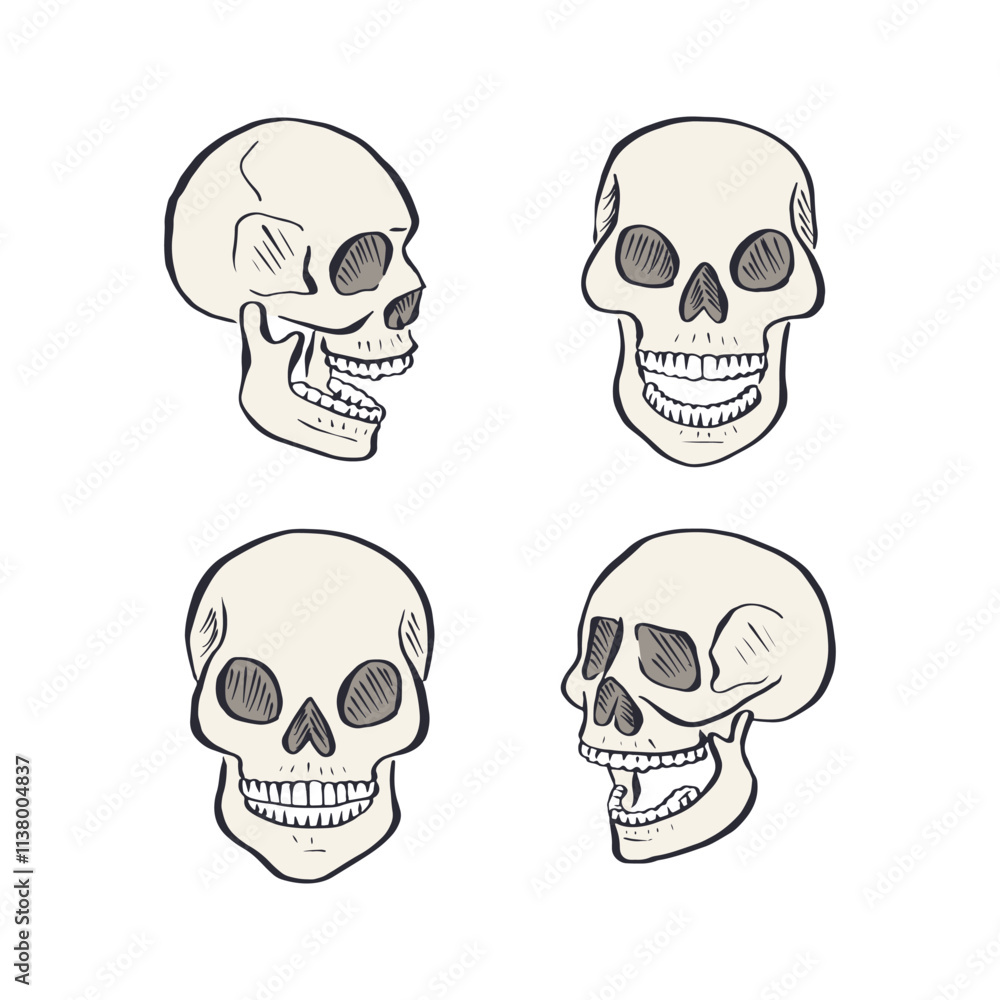 Obraz premium Hand drawn sketchy human skulls set isolated on white background. Doodle skeleton head tattoo design